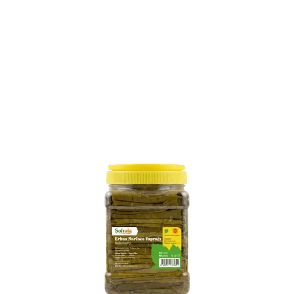 500g Pet Salamura Tokat Yaprağı - 2026 Mahsulü, İnce Damarlı Tokat Erbaa Yaprağı