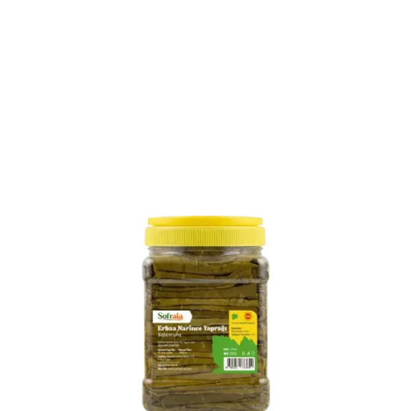 600g Pet Salamura Tokat Yaprağı - 2026 Mahsulü, İnce Damarlı Tokat Erbaa Yaprağı